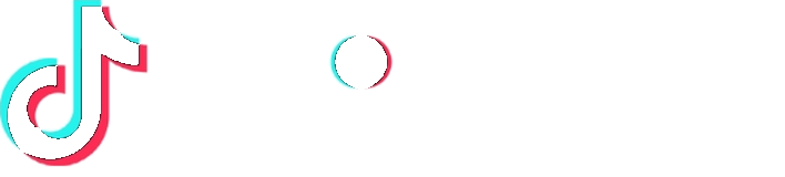 TikTok Marketing Partner